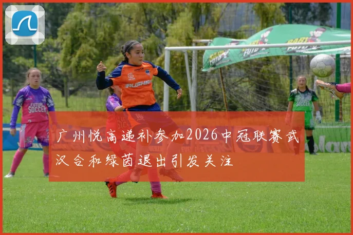 广州悦高递补参加2026中冠联赛武汉合和绿茵退出引发关注