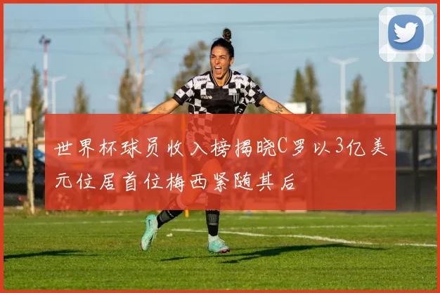 世界杯球员收入榜揭晓C罗以3亿美元位居首位梅西紧随其后
